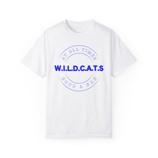 Wildcats Christian Blue Letters & Picture