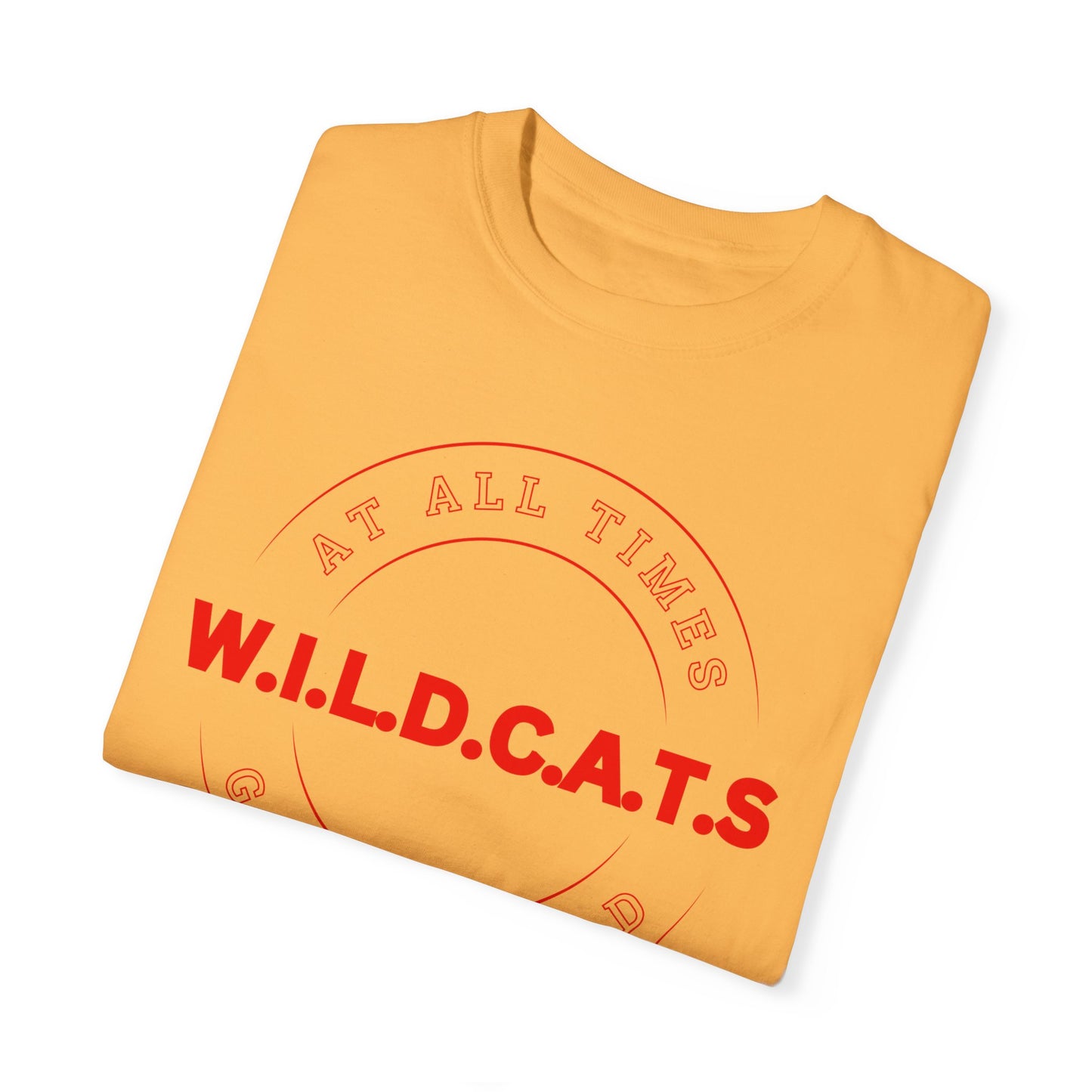 Wildcats Christian Red Letters & Picture