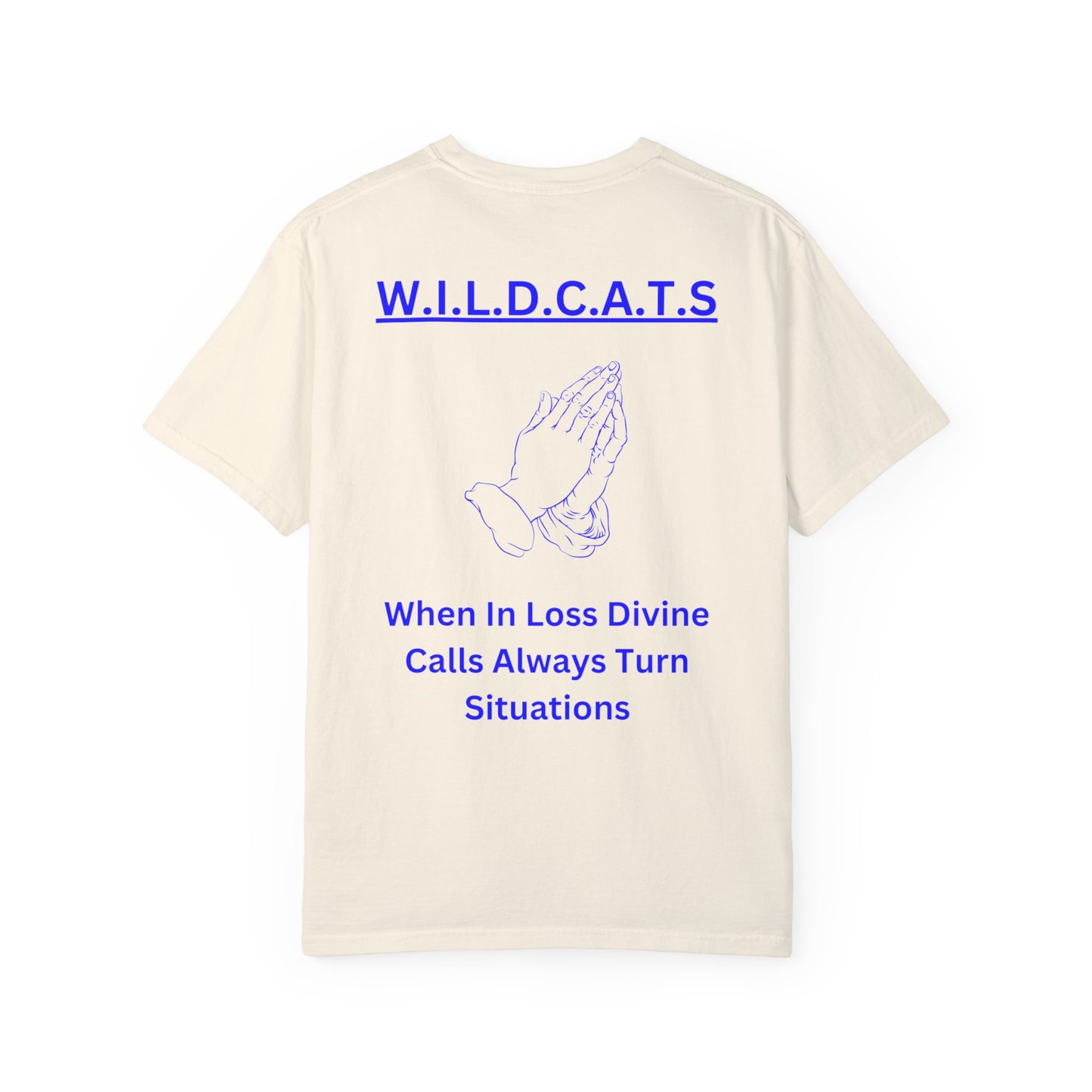 Wildcats Christian Blue Letters & Picture