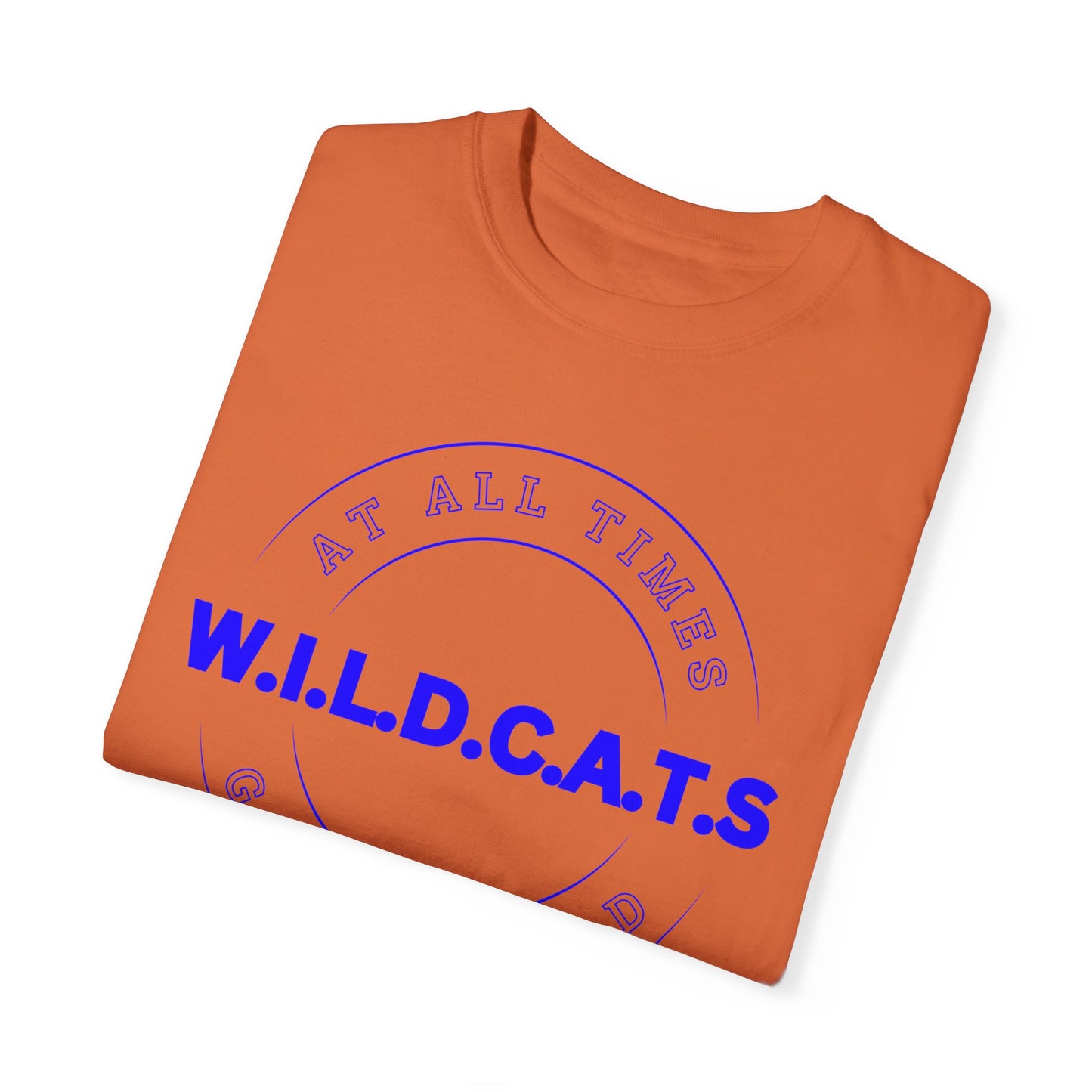 Wildcats Christian Blue Letters & Picture