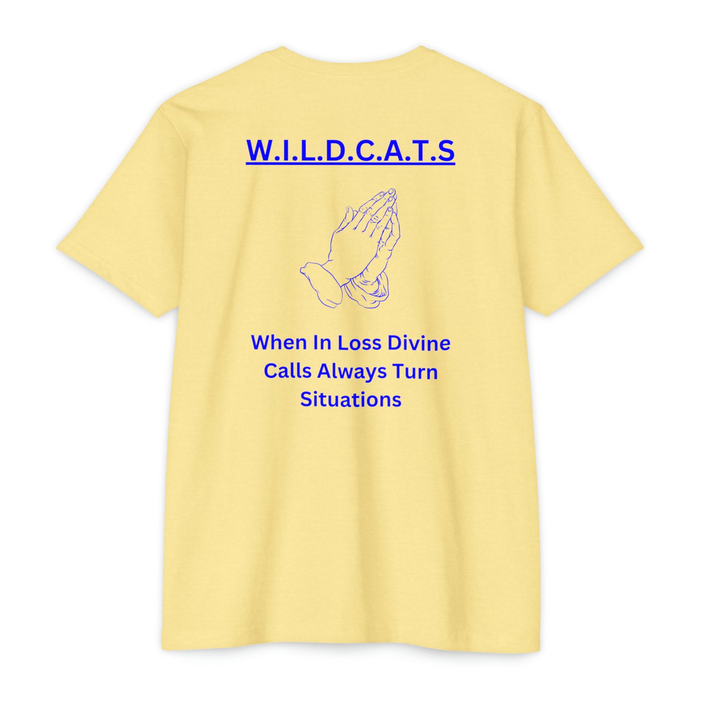 Wildcats Christian Blue Letters & Picture