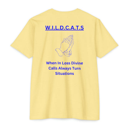 Wildcats Christian Blue Letters & Picture