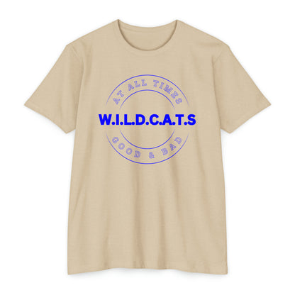 Wildcats Christian Blue Letters & Picture