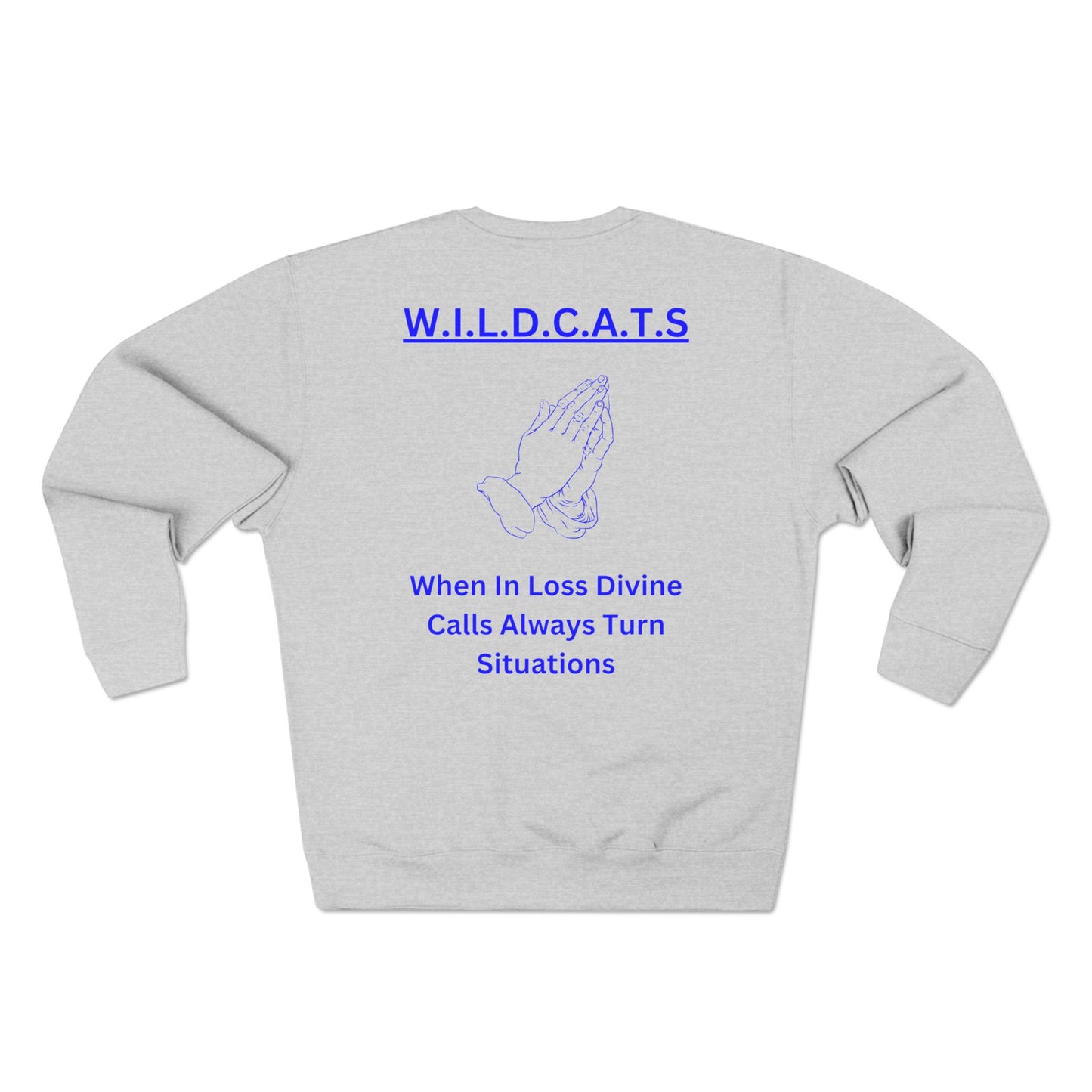 Wildcats Christian Blue Letters & Picture Crewneck