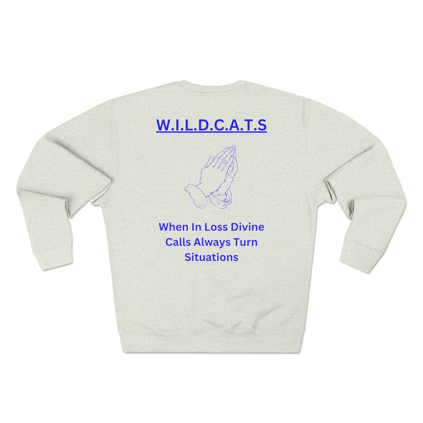 Wildcats Christian Blue Letters & Picture Crewneck