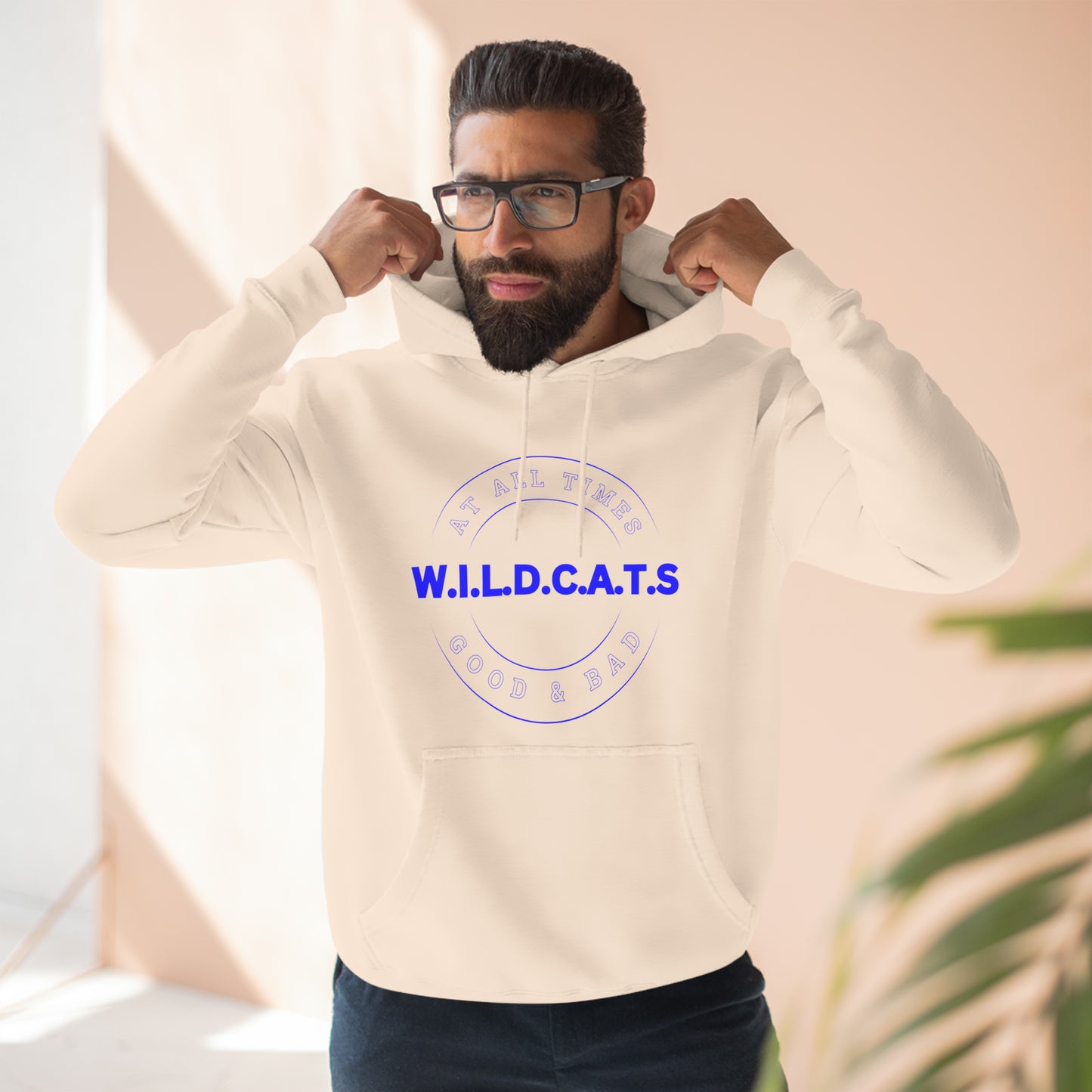 Wildcats Christian Blue Letters & Picture Hoodie