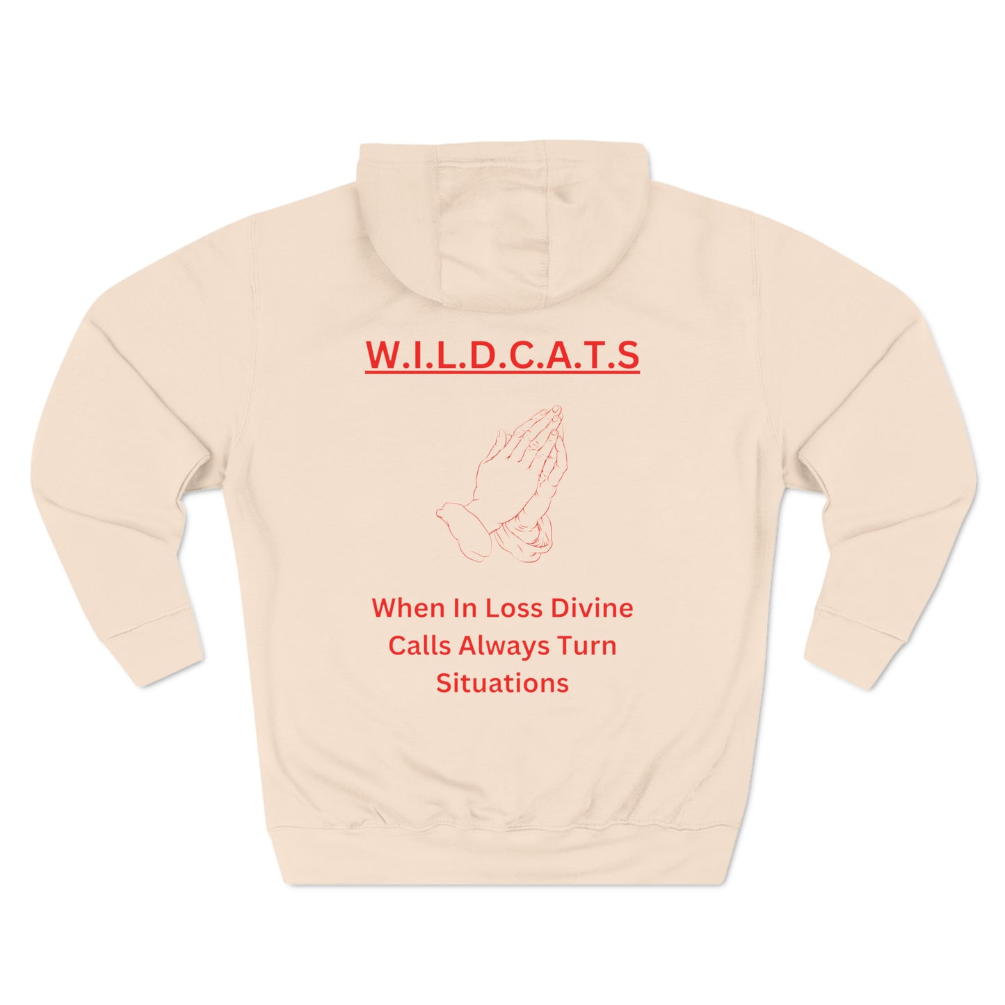 Wildcats Christian Red Letters & Picture Hoodie