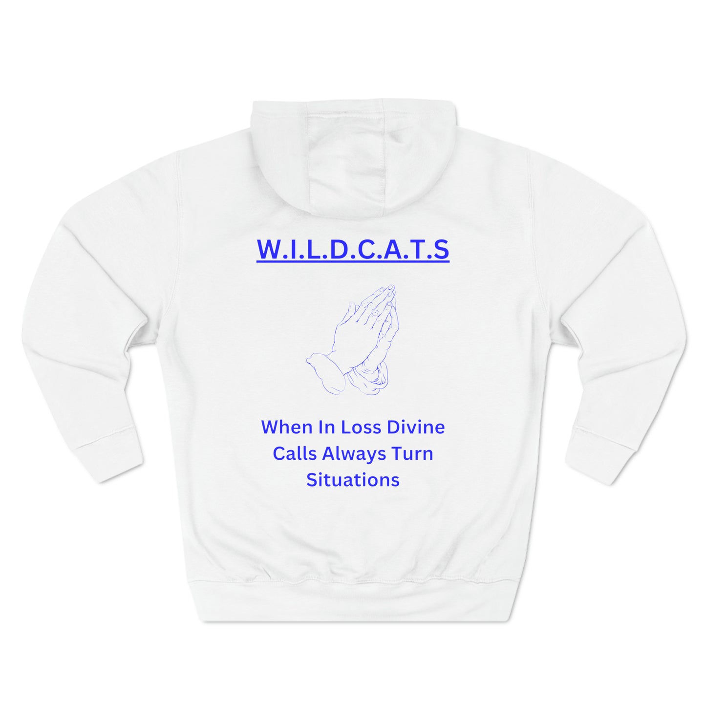 Wildcats Christian Blue Letters & Picture Hoodie