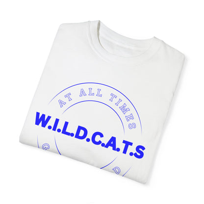 Wildcats Christian Blue Letters & Picture