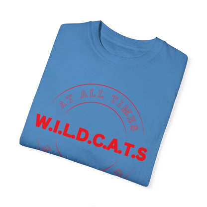 Wildcats Christian Red Letters & Picture