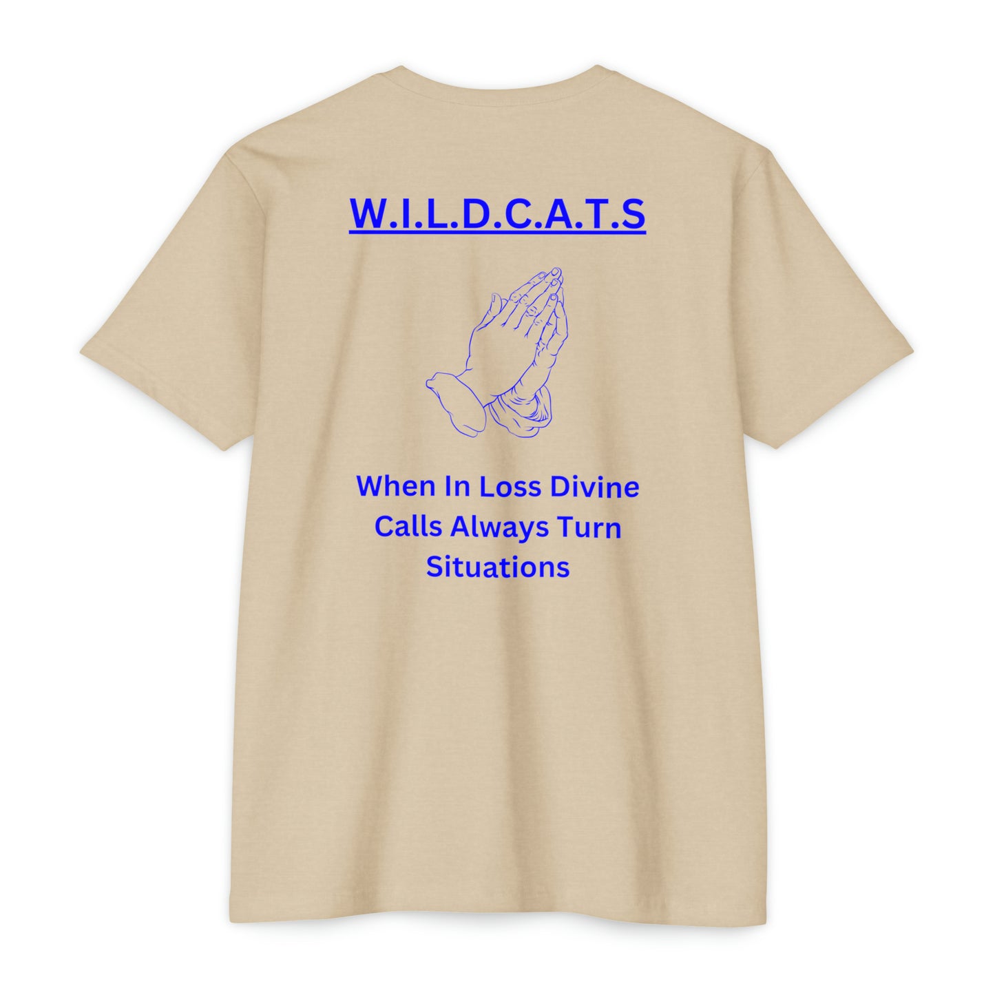 Wildcats Christian Blue Letters & Picture