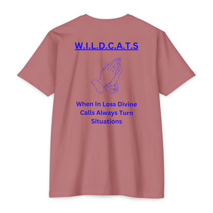 Wildcats Christian Blue Letters & Picture