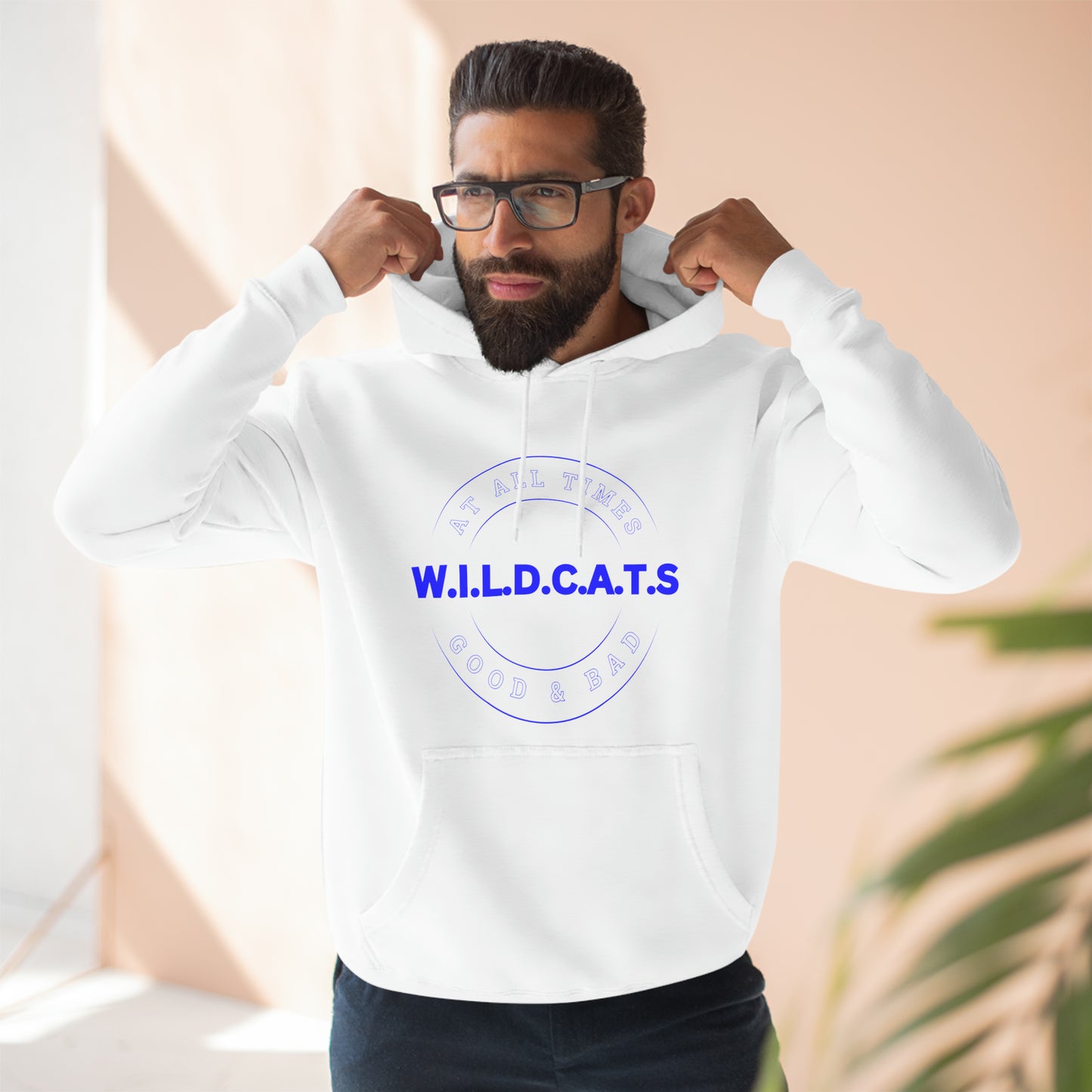 Wildcats Christian Blue Letters & Picture Hoodie