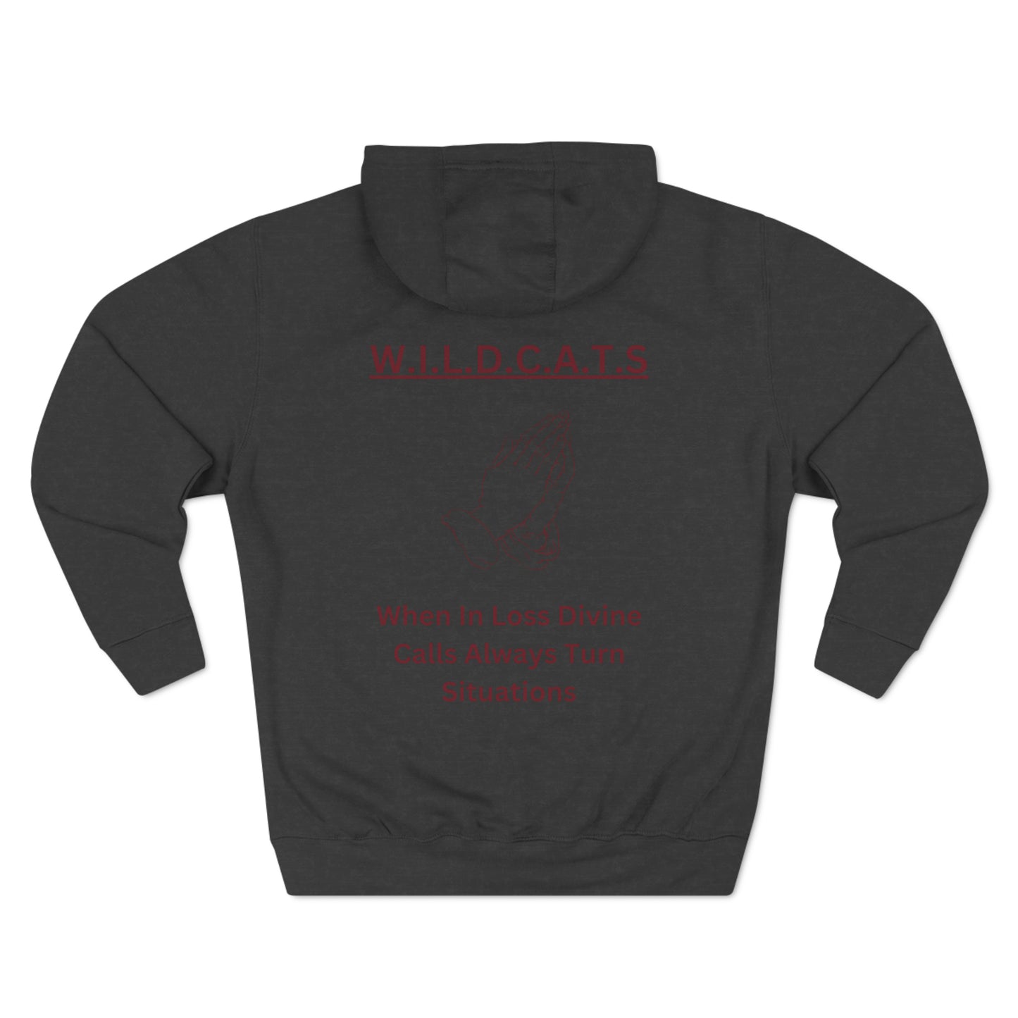 Wildcats Christian Marron Letters & Picture Hoodie