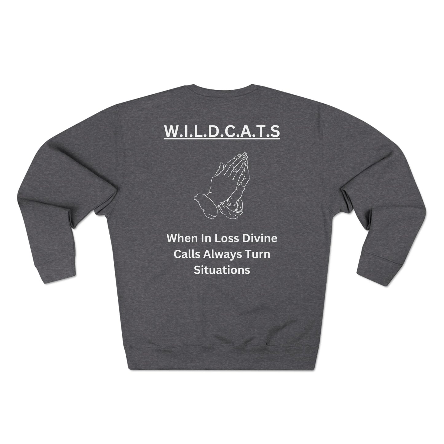 Wildcats Christian White Letters & Picture Crewneck