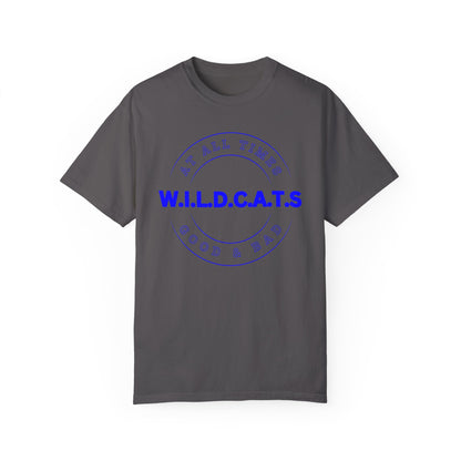 Wildcats Christian Blue Letters & Picture