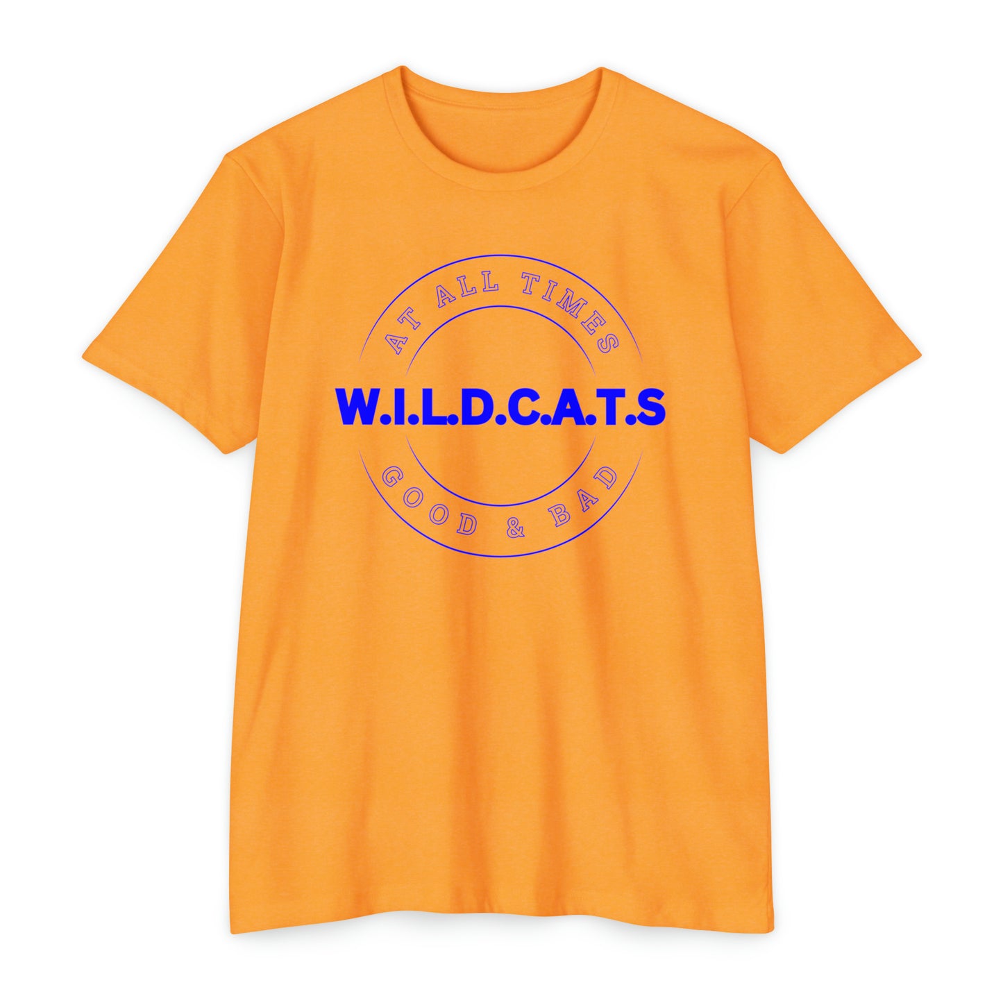 Wildcats Christian Blue Letters & Picture