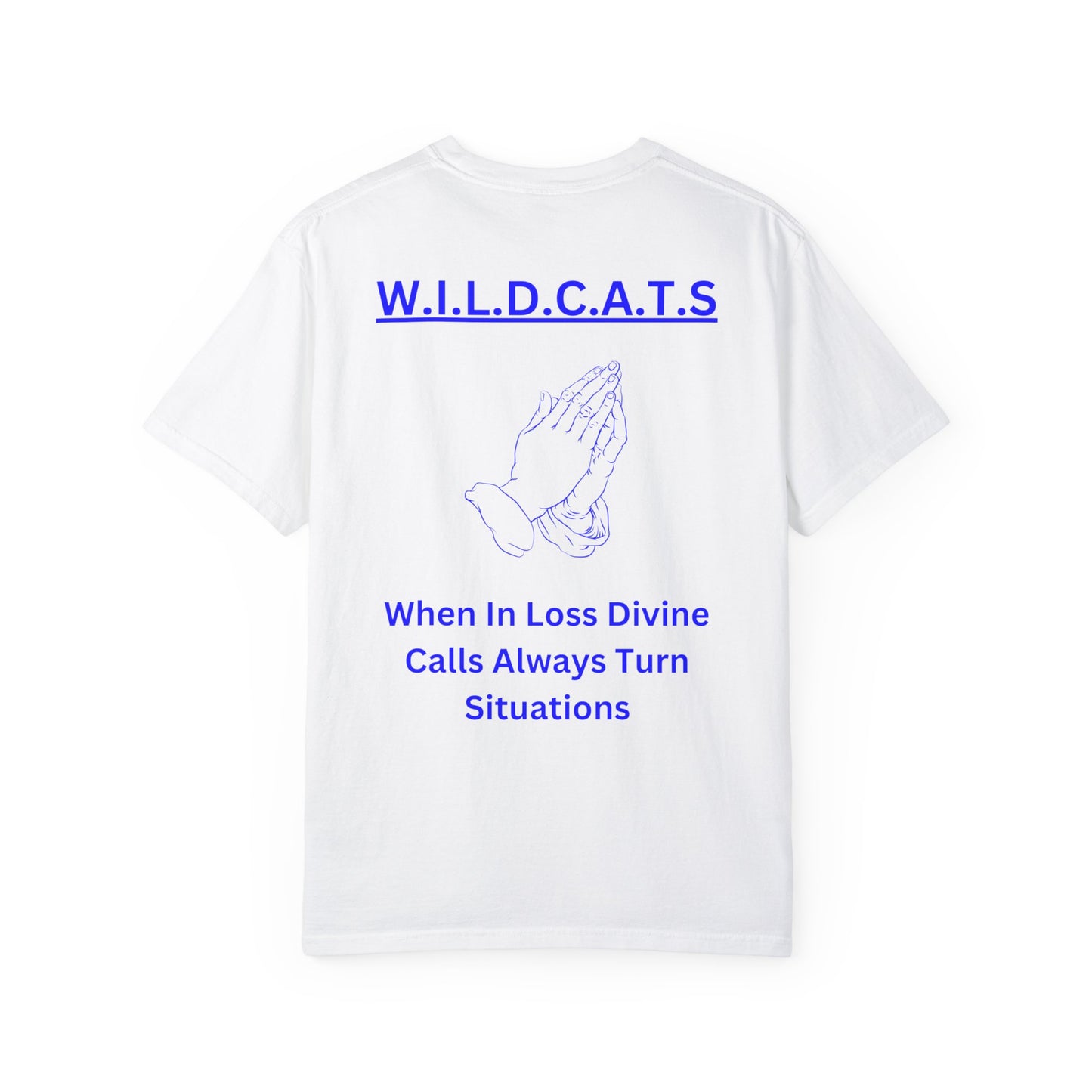 Wildcats Christian Blue Letters & Picture