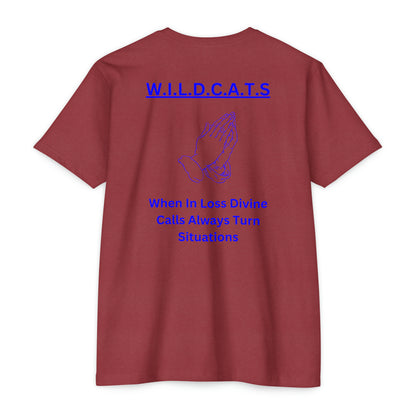 Wildcats Christian Blue Letters & Picture