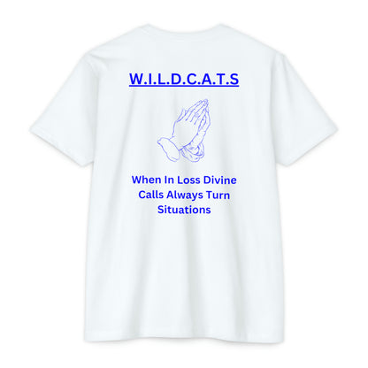 Wildcats Christian Blue Letters & Picture