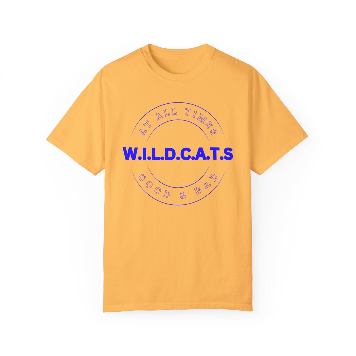 Wildcats Christian Blue Letters & Picture