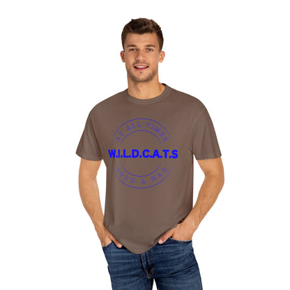 Wildcats Christian Blue Letters & Picture