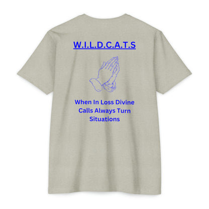 Wildcats Christian Blue Letters & Picture