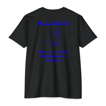 Wildcats Christian Blue Letters & Picture