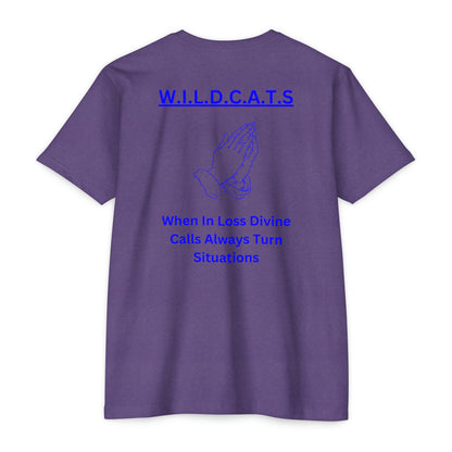 Wildcats Christian Blue Letters & Picture