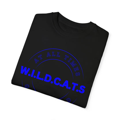 Wildcats Christian Blue Letters & Picture