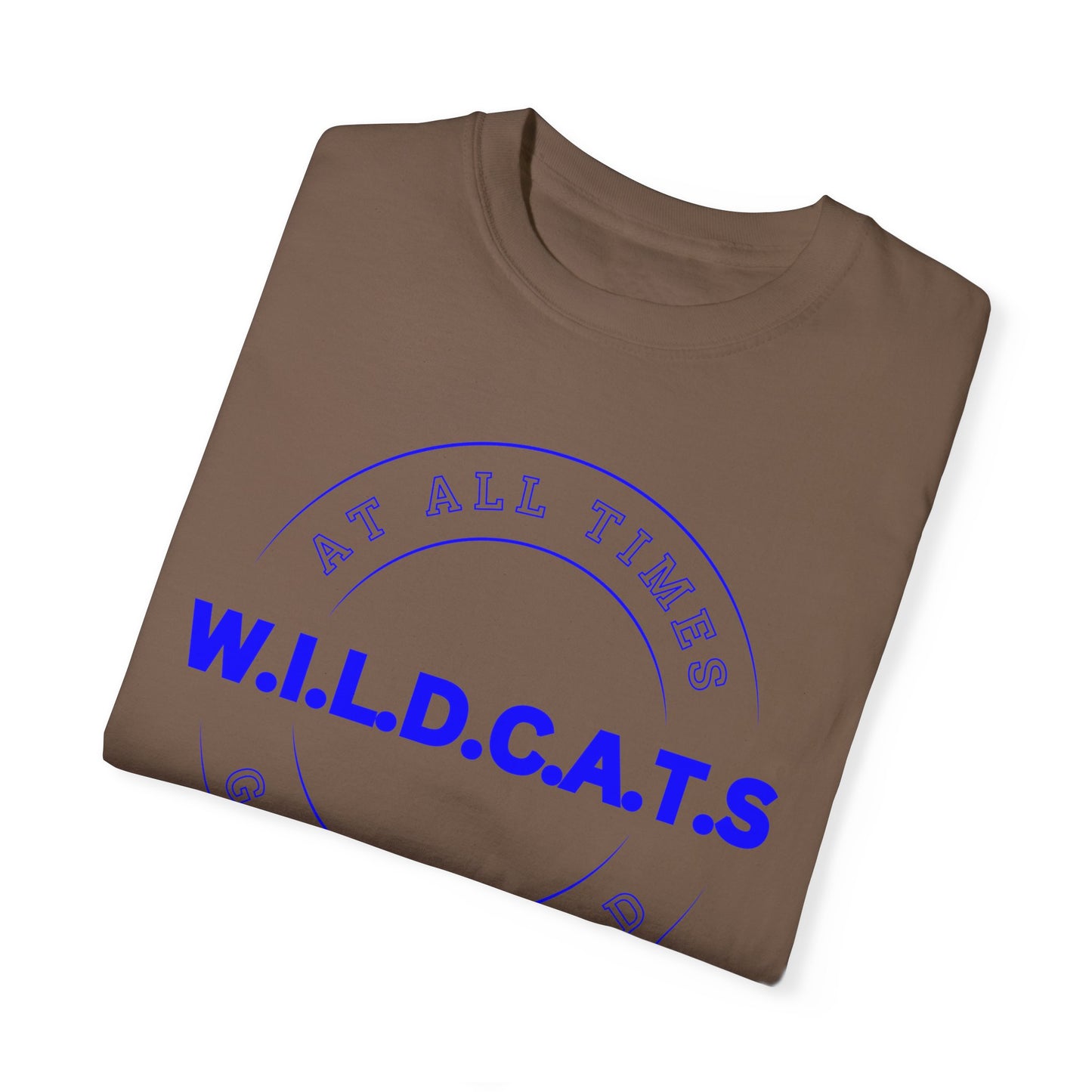 Wildcats Christian Blue Letters & Picture