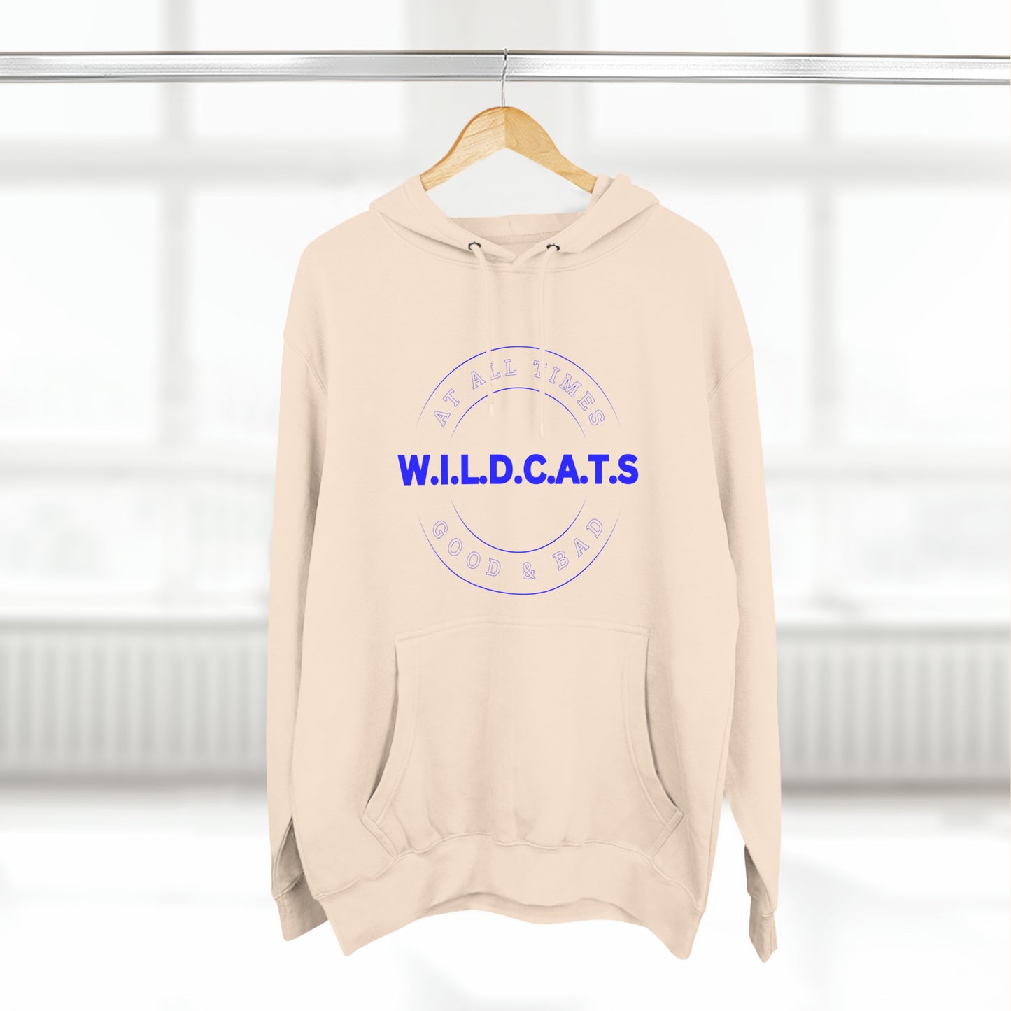 Wildcats Christian Blue Letters & Picture Hoodie