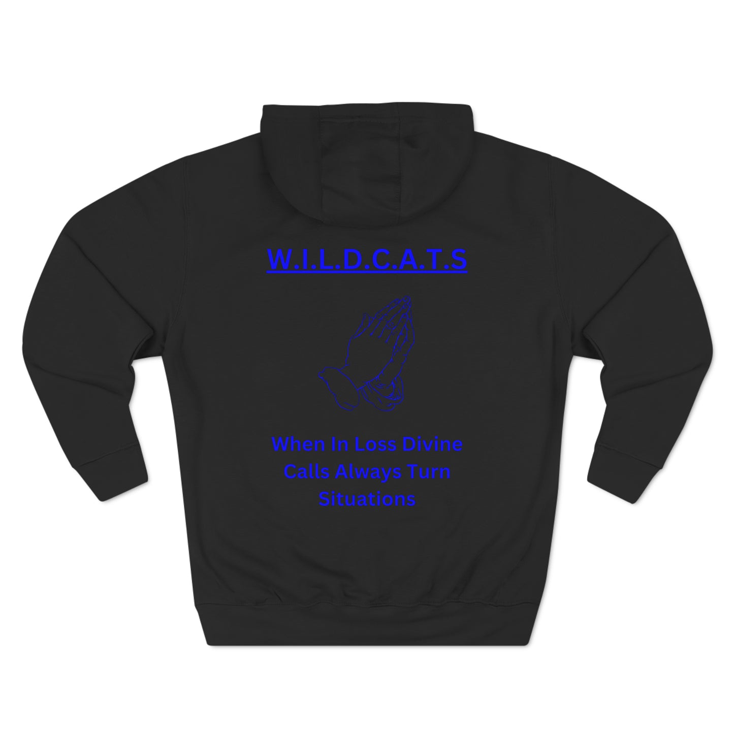 Wildcats Christian Blue Letters & Picture Hoodie