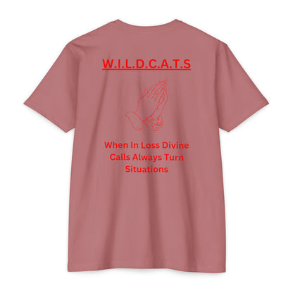 Wildcats Christian Red Letters & Picture