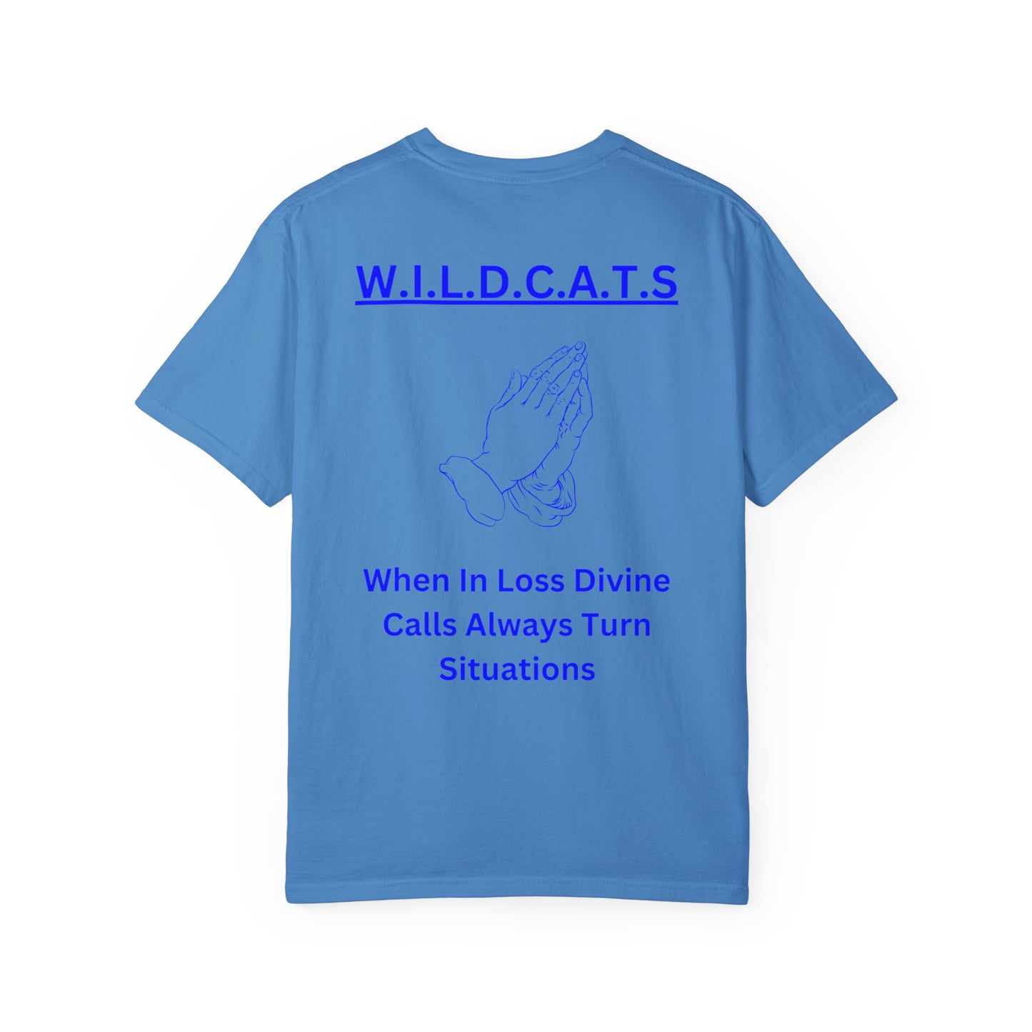 Wildcats Christian Blue Letters & Picture