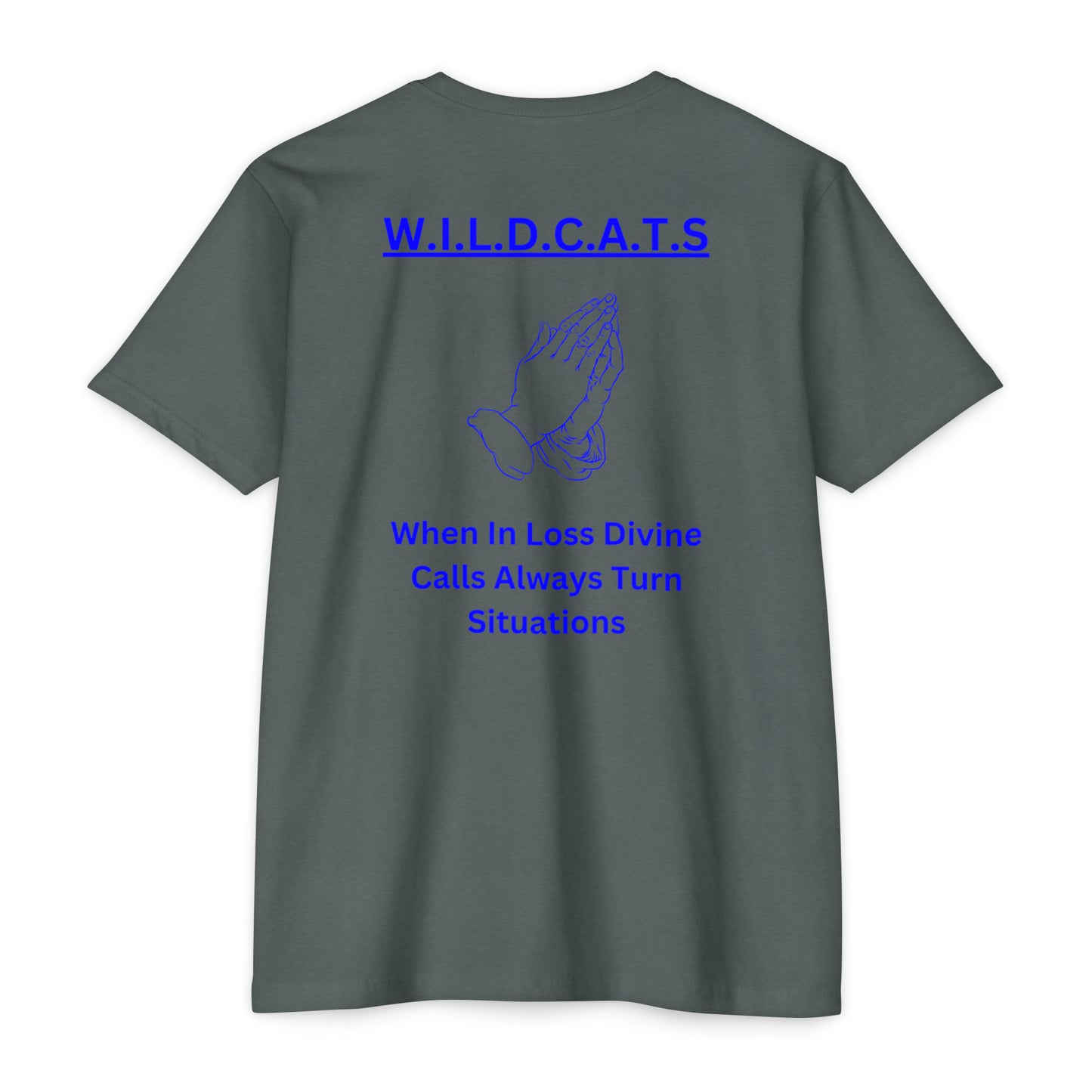 Wildcats Christian Blue Letters & Picture