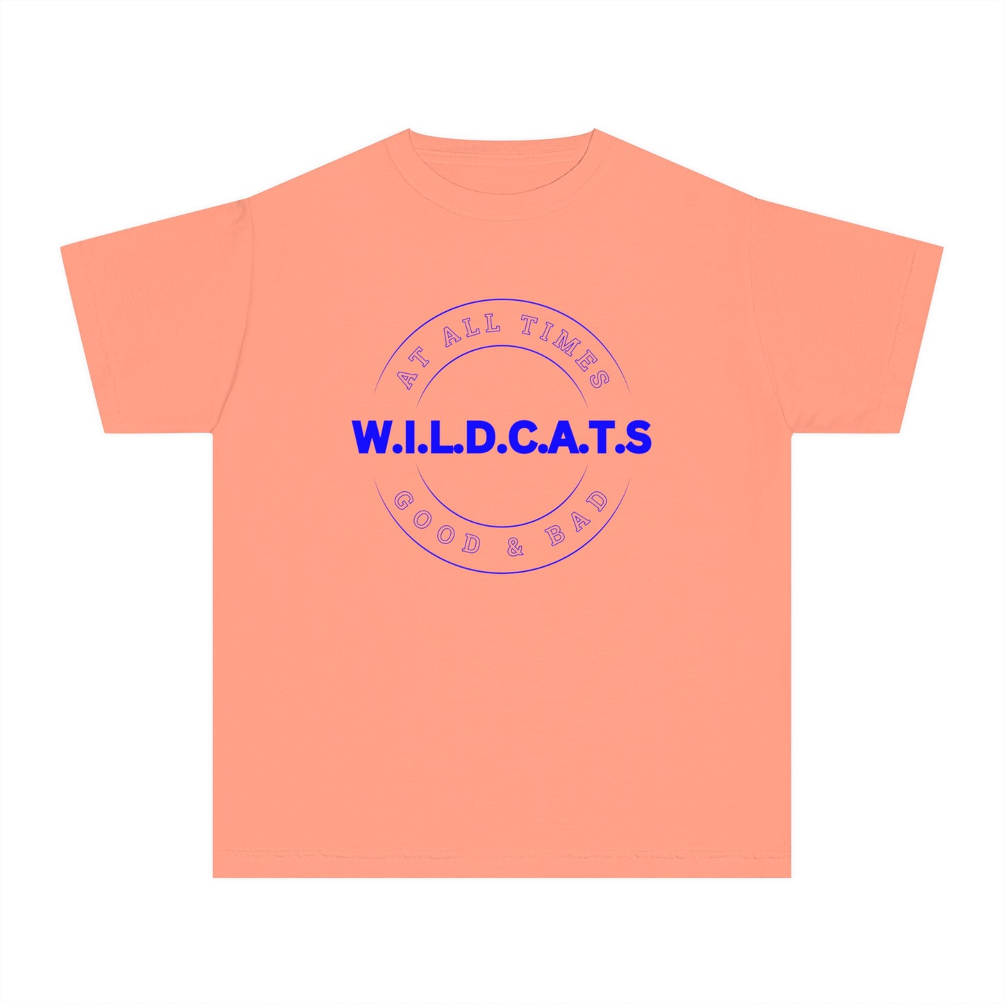 Youth Wildcats Christian Blue Letters & Picture