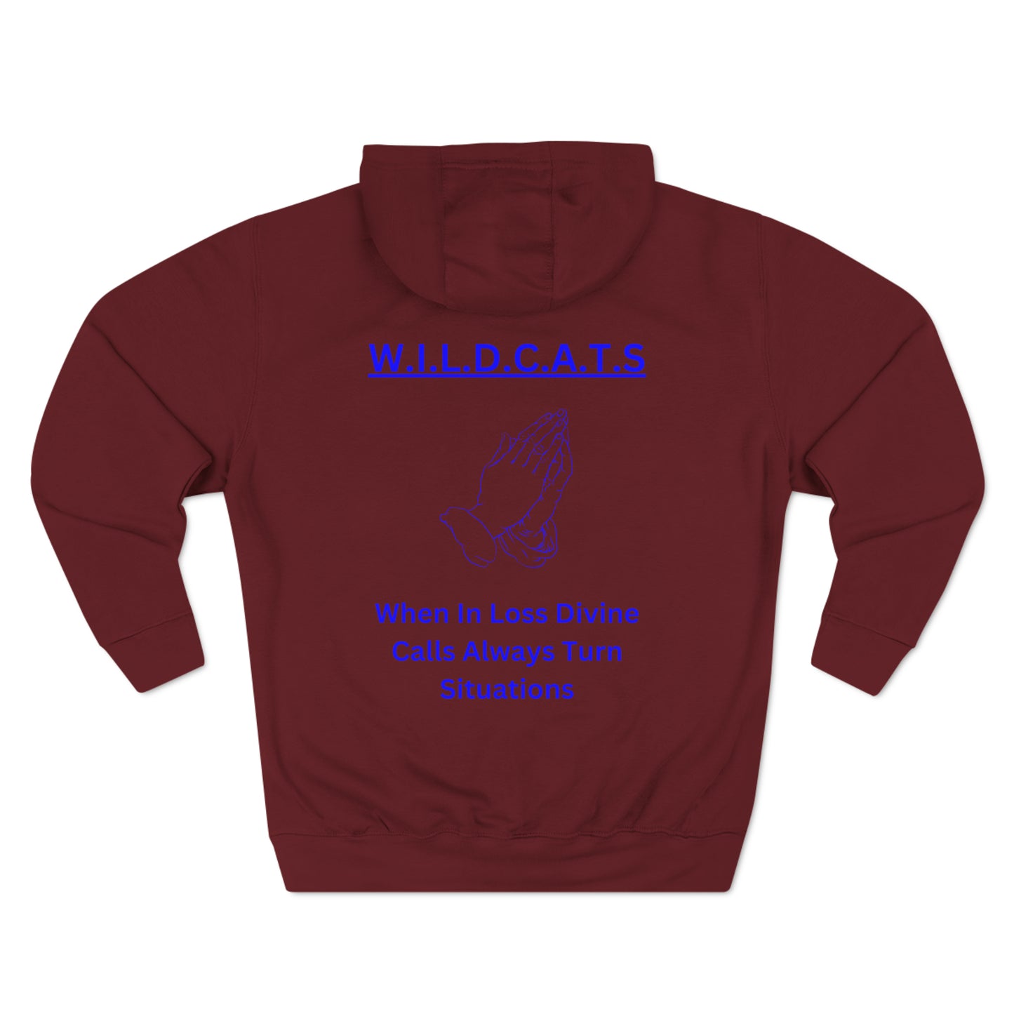 Wildcats Christian Blue Letters & Picture Hoodie