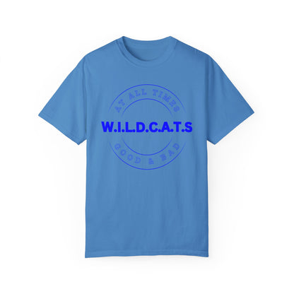 Wildcats Christian Blue Letters & Picture