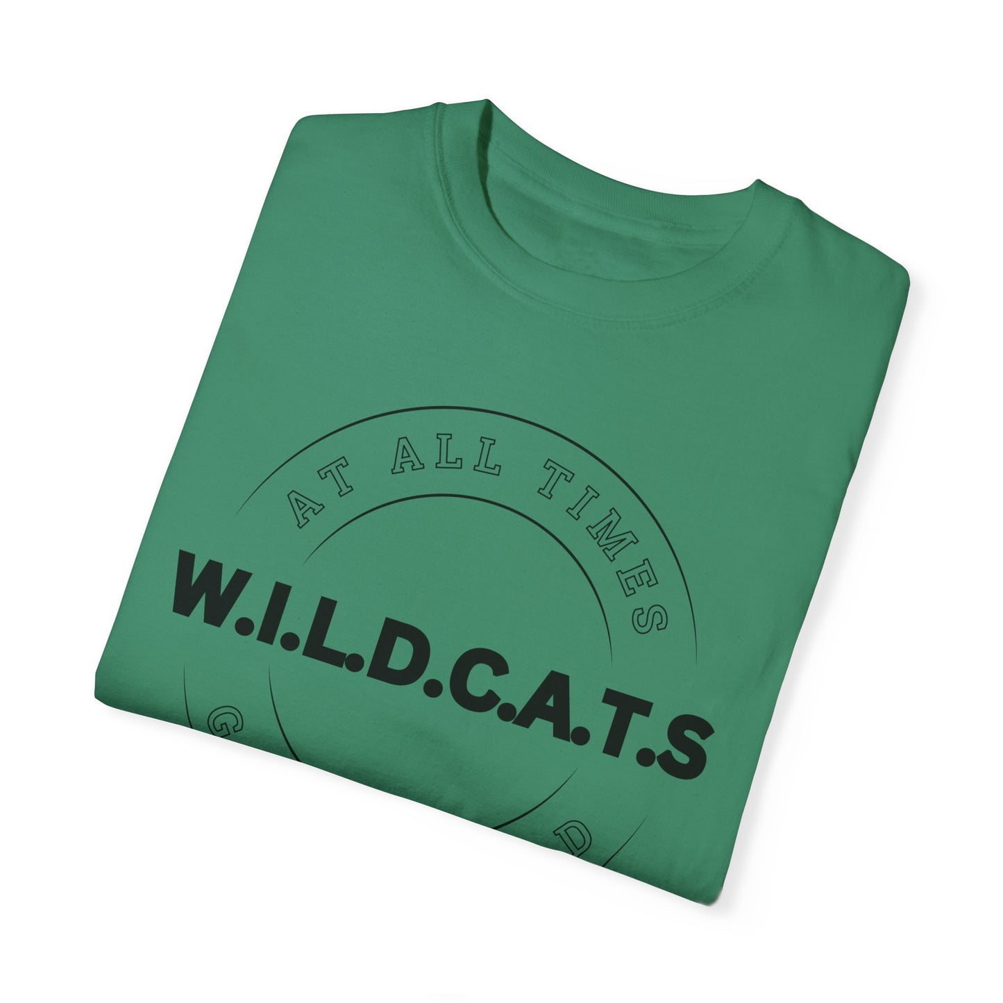 Wildcats Christian Black Letters & Picture