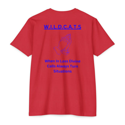 Wildcats Christian Blue Letters & Picture